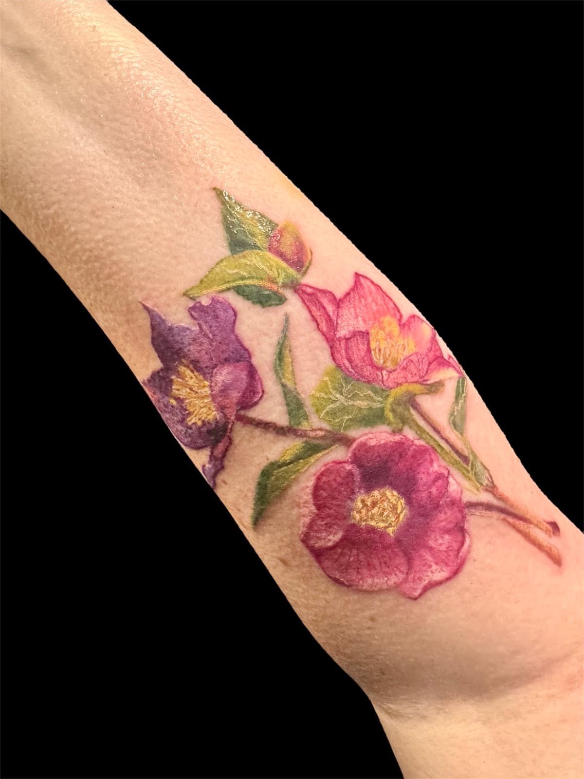 Color realism hellebore tattoo on forearm — pink and purple hellebore flowers with detailed yellow centers, green leaves, and stems.