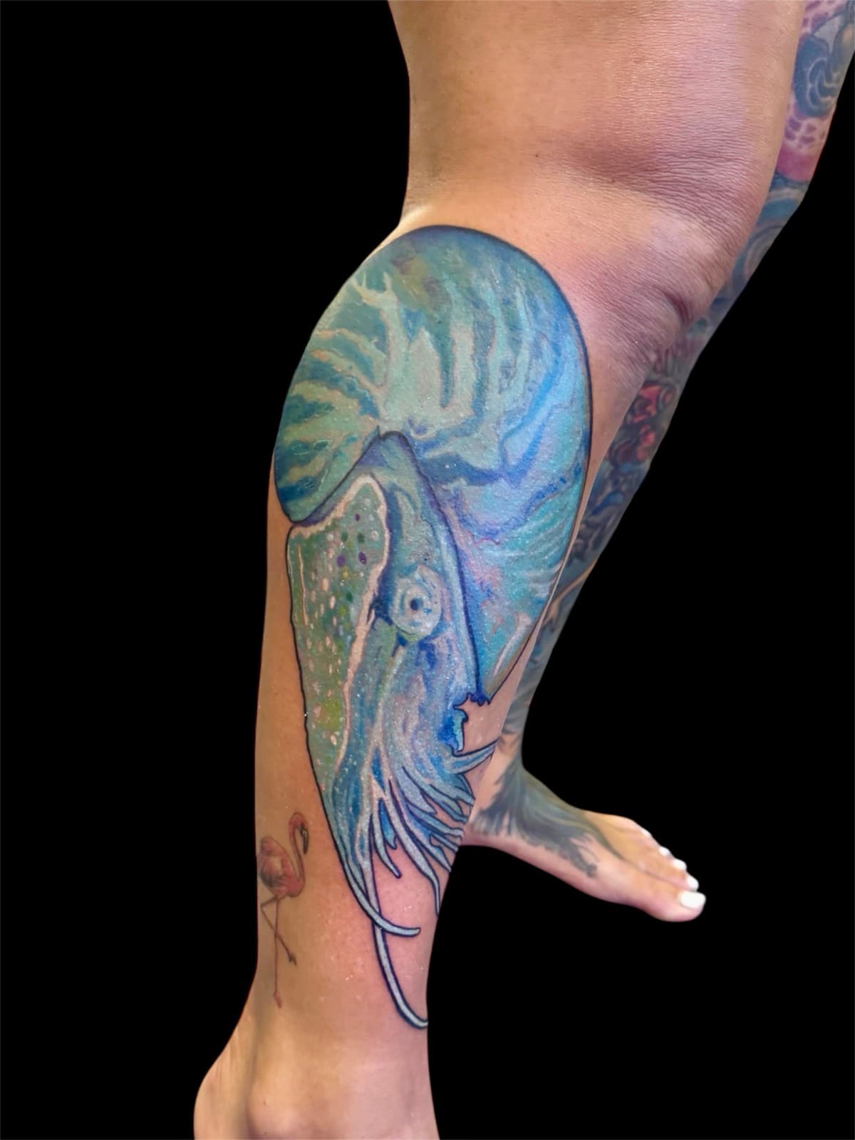 Large chambered nautilus tattoo on calf with detailed striped blue and green shell, iridescent shading, and tentacles extending downward.