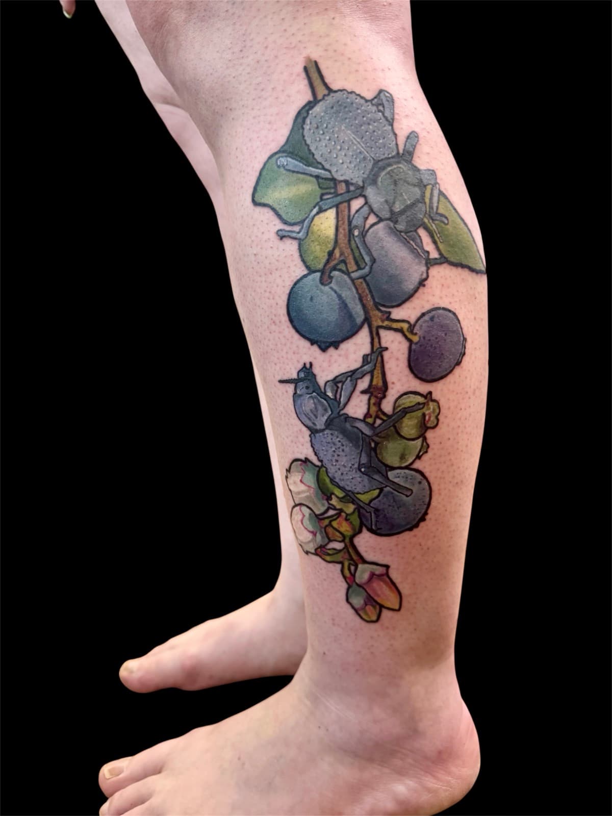 Full calf view of blueberry branch tattoo — ripe blueberries with leaves, blue beetles color-matched to the berries, and pink apple blossoms at the base.