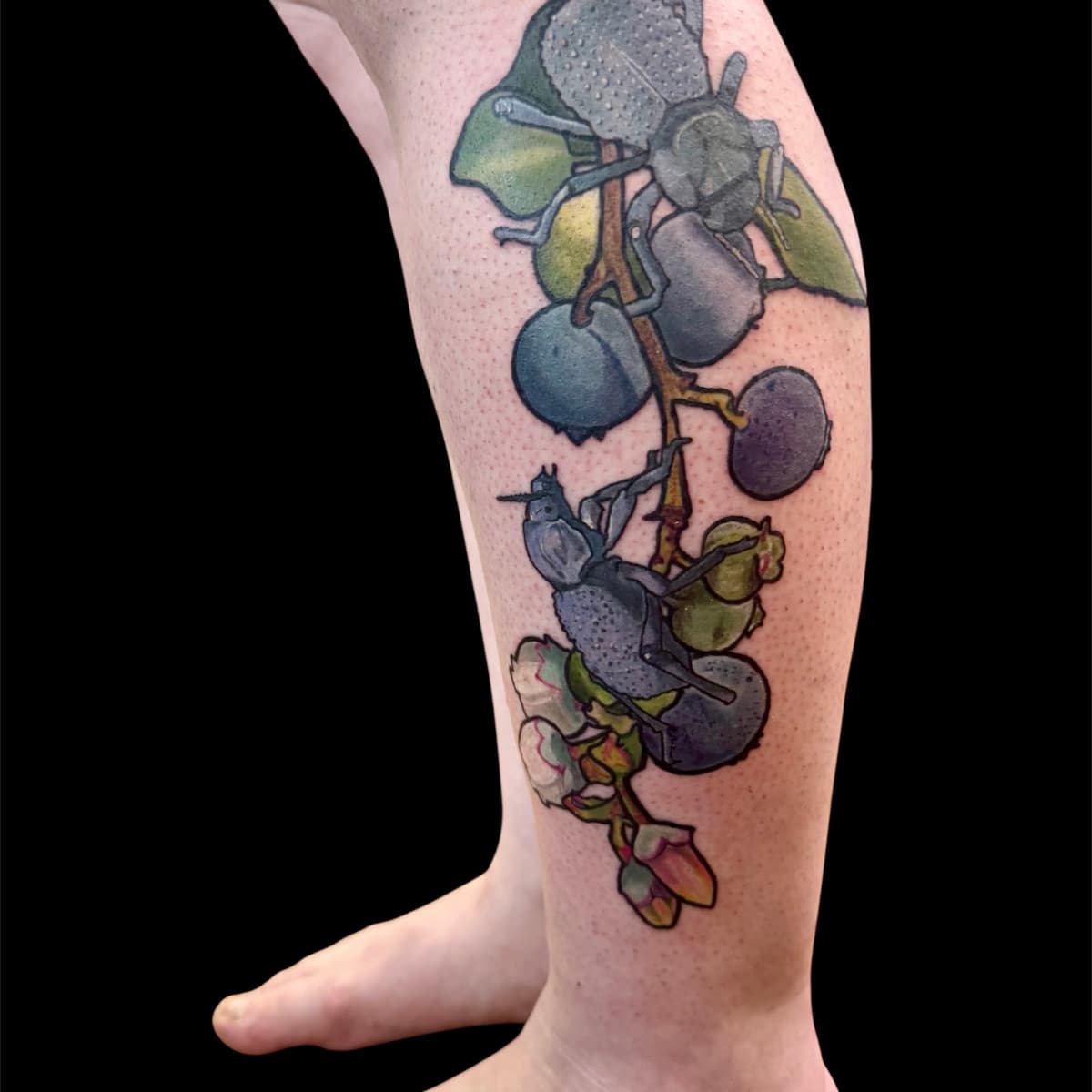 Blueberry branch tattoo on calf with ripe blue and unripe green berries, green leaves, pink apple blossoms, and blue beetles color-matched to the fruit.
